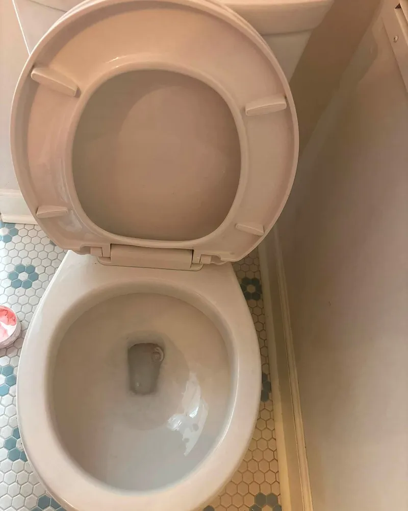 Toilet, Deep Clean, after cleaning
