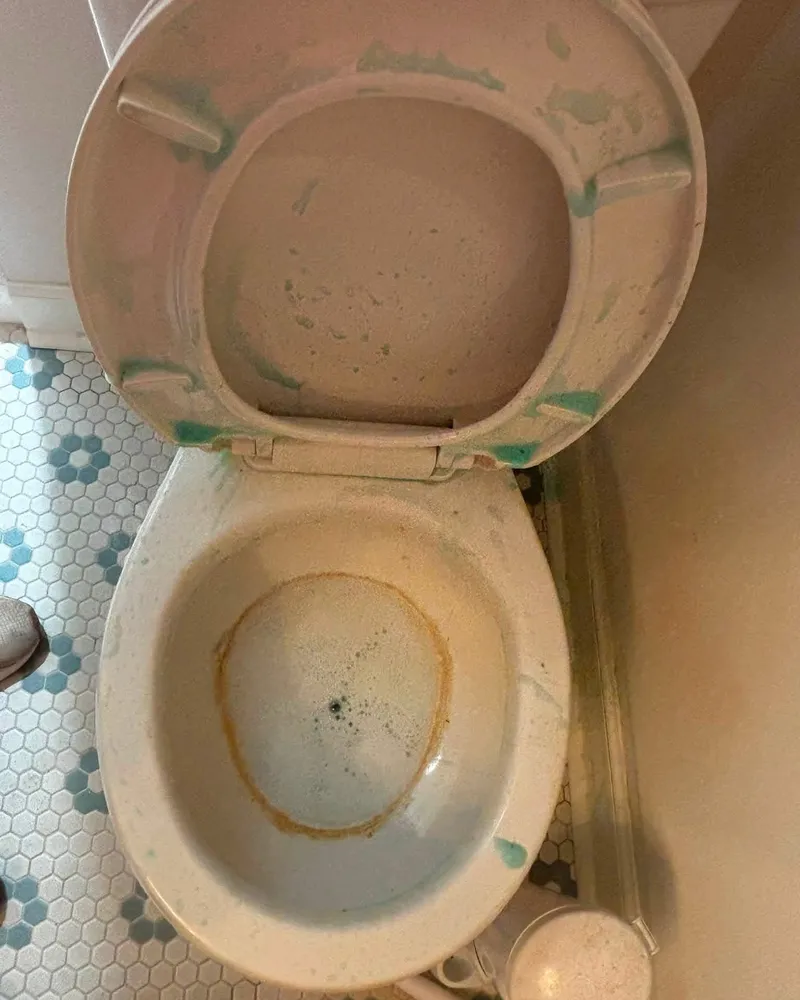 Toilet, Deep Clean, before cleaning